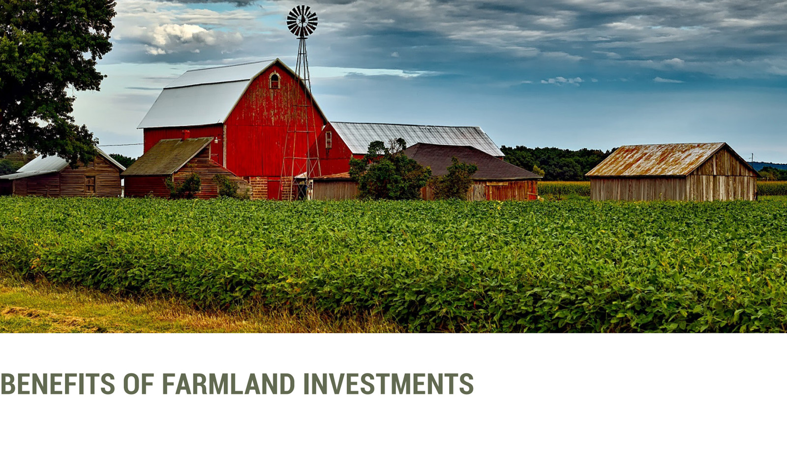 Benefits of Farmland Investments