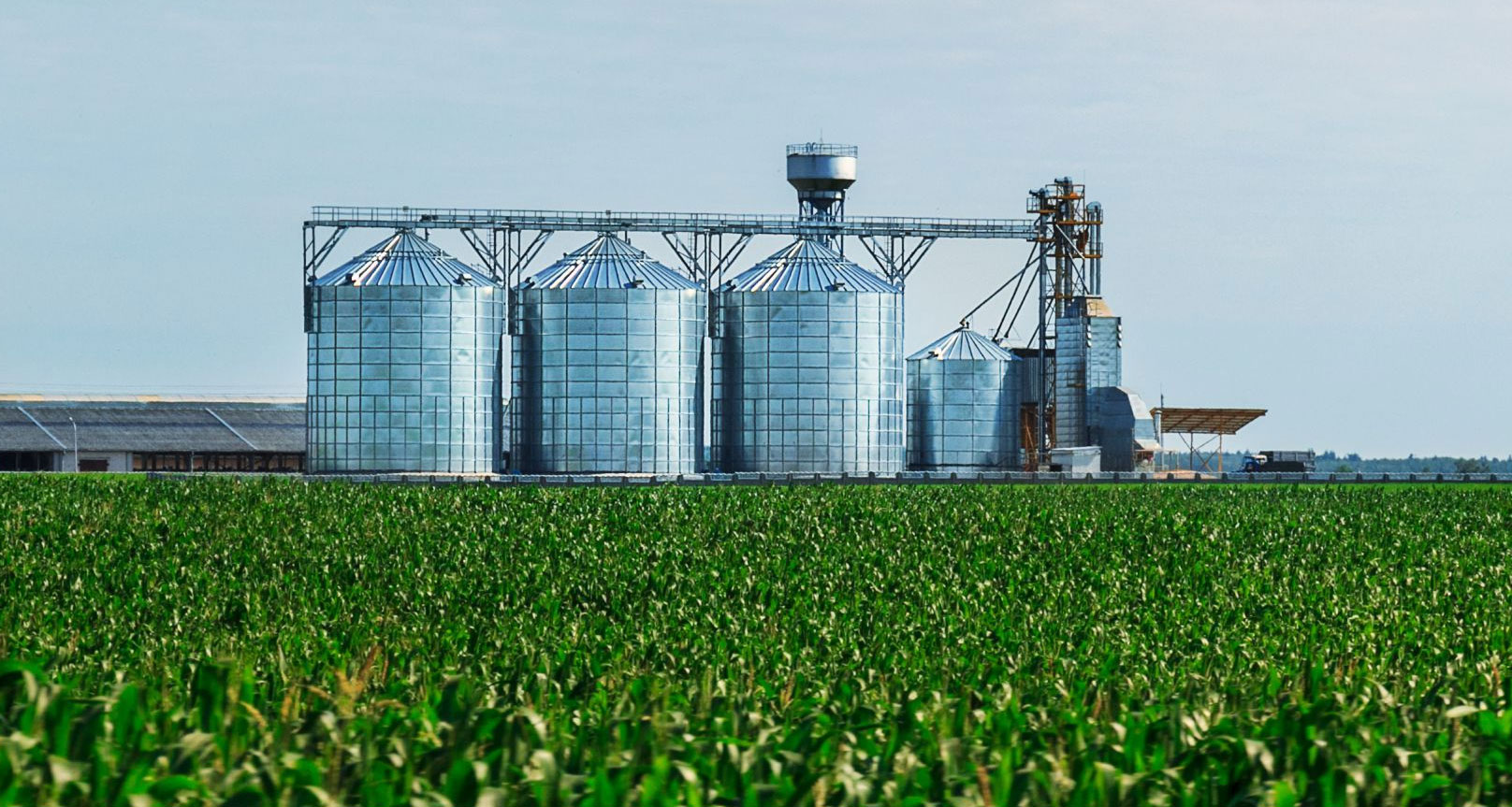 Farmland piques global investor interest amid pandemic – The Asset