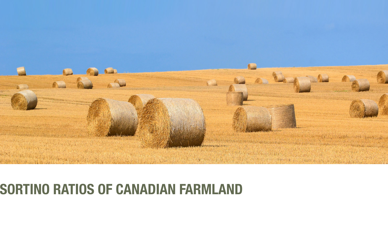 Farmland Sortino Ratio