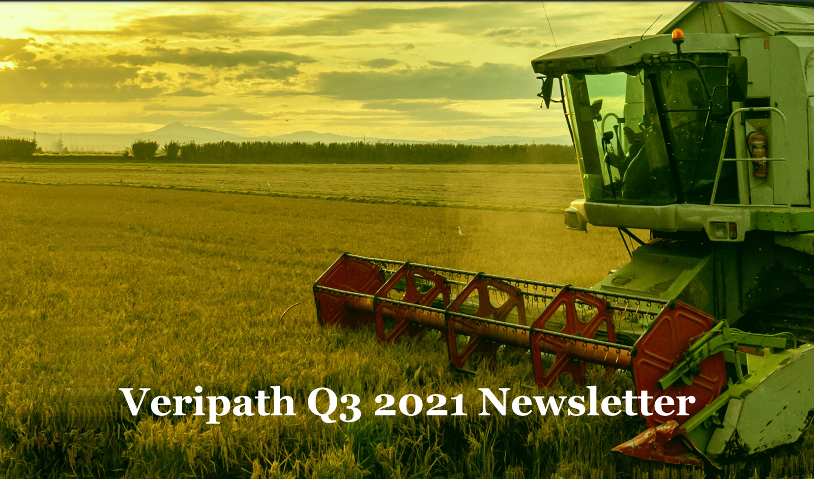 Veripath Q3 2021 Newsletter
