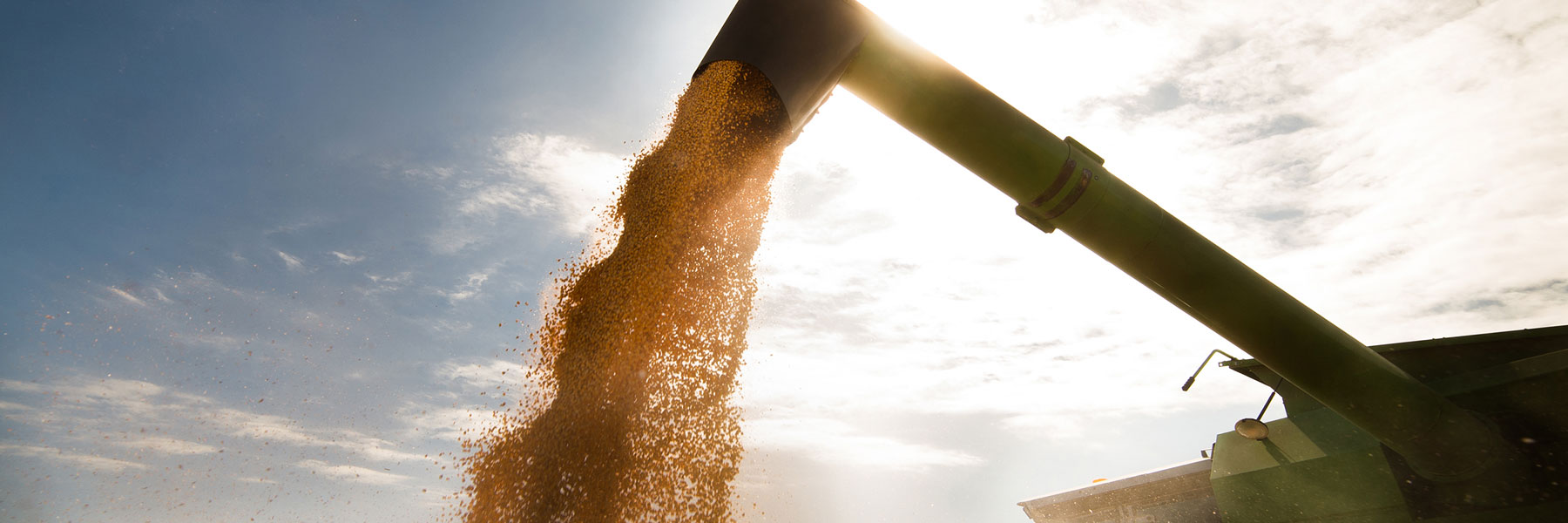 Veripath in AgriInvestor Magazine – Stagflation and Farmland