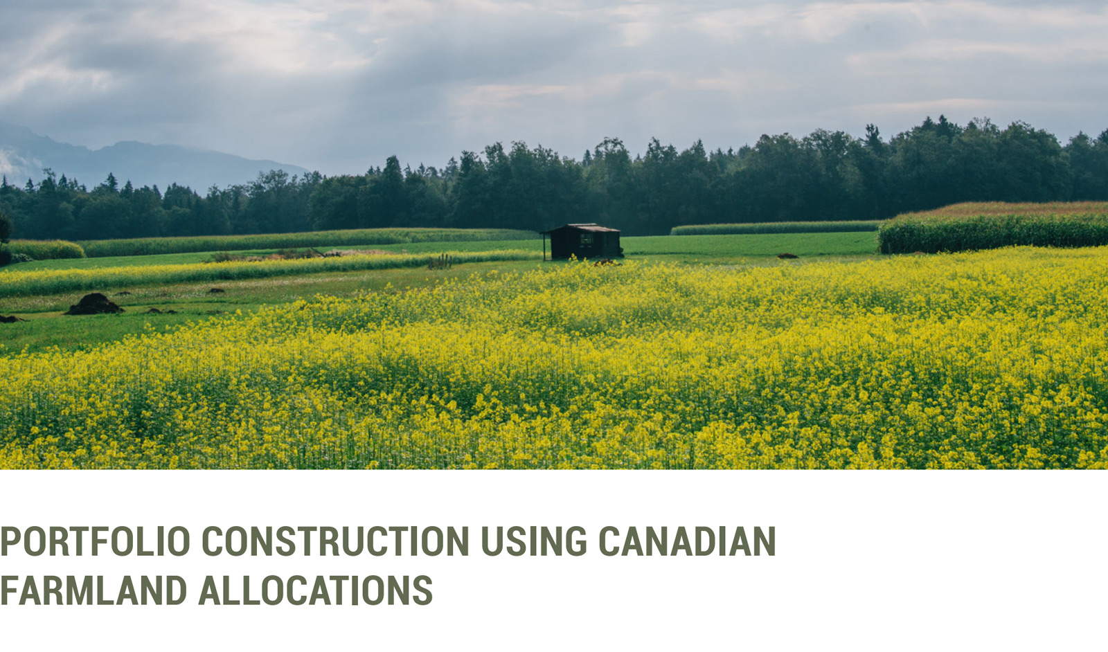 Portfolio Construction Using Canadian Farmland Allocations