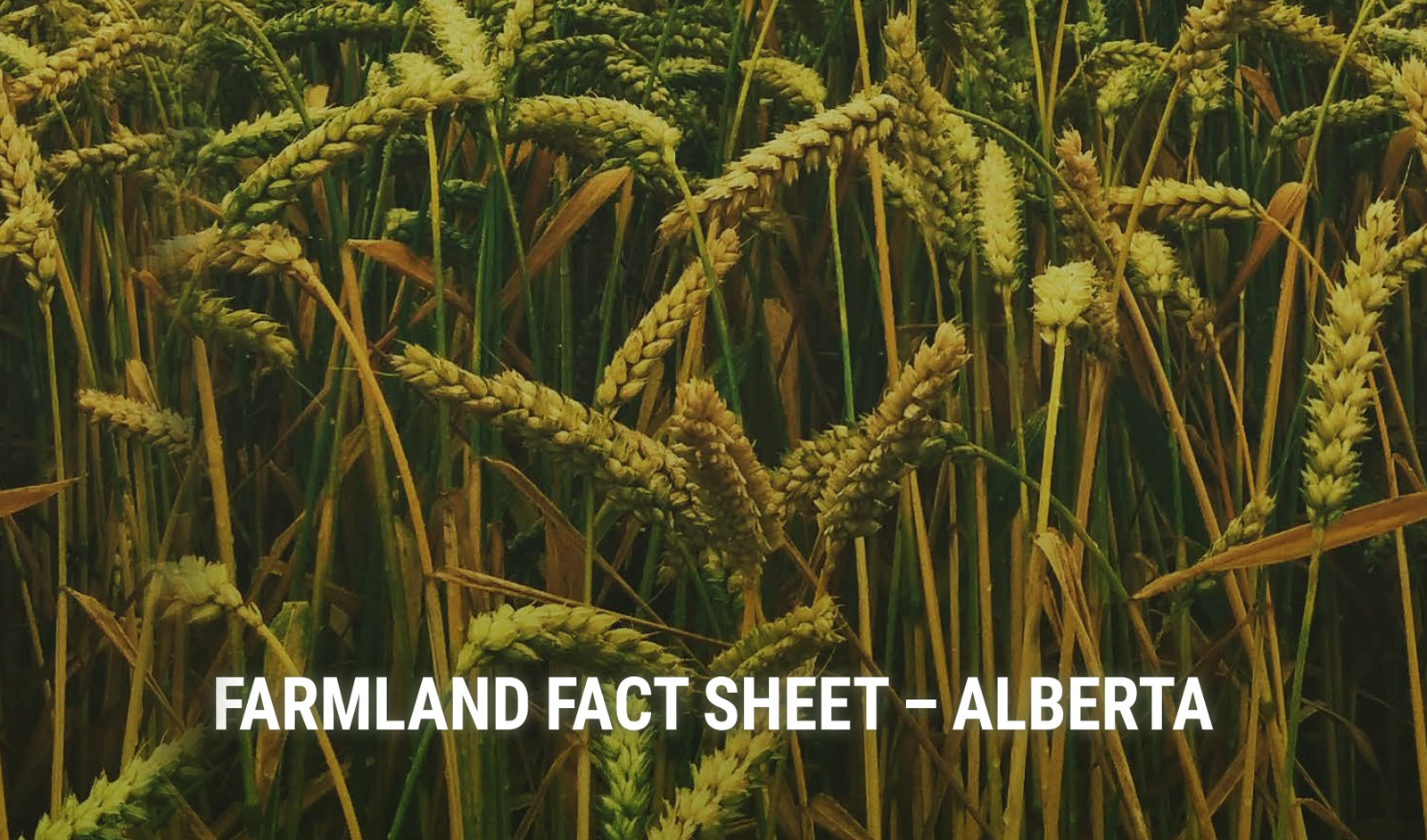 Provincial Farmland – Quick Fact Sheet – Alberta