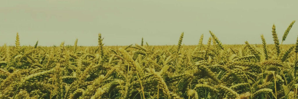 Veripath Farmland Fund Offers Additional Series on Fundserv Platform