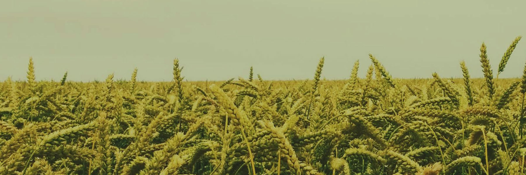 Veripath Farmland Fund Offers Additional Series on Fundserv Platform