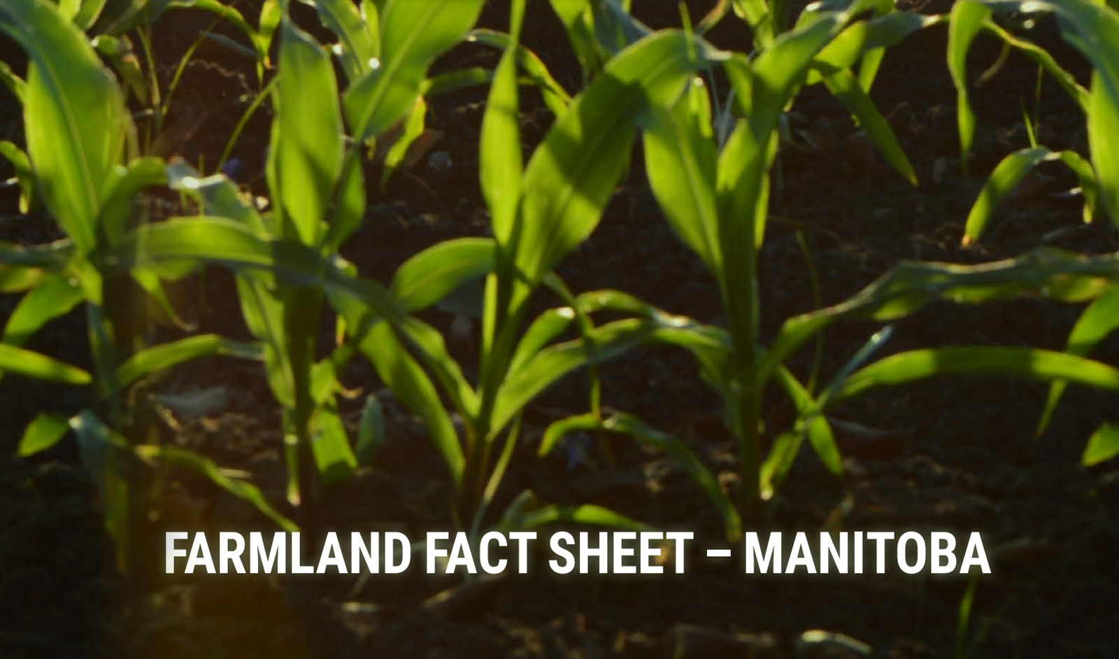 Provincial Farmland – Quick Fact Sheet – Manitoba