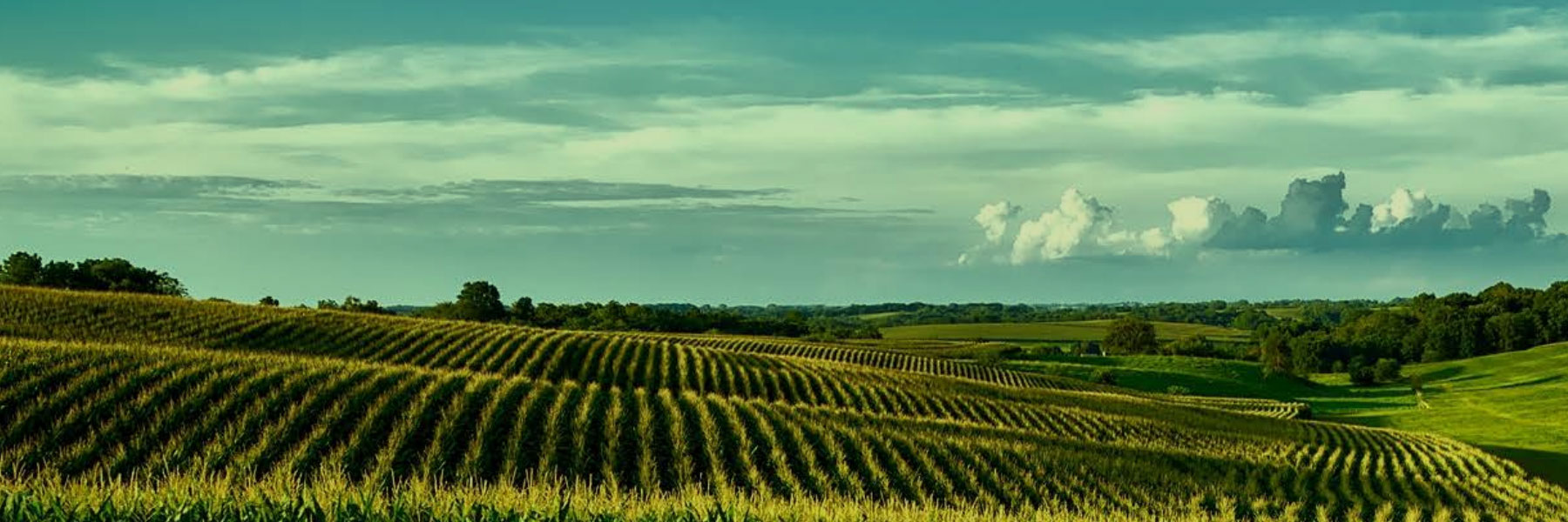 Veripath is Pleased to Announce Matt Barr has Joined as Partner