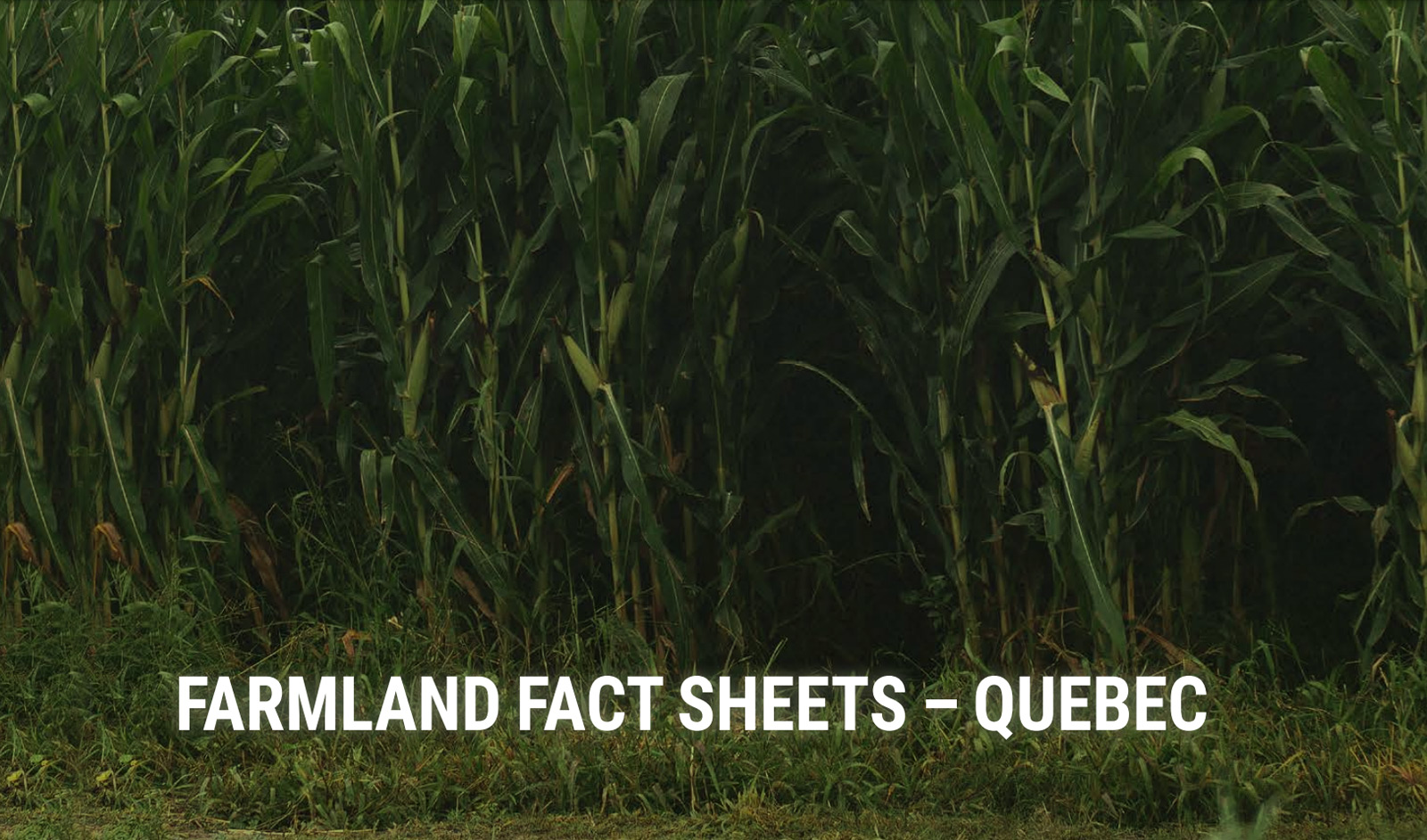 Provincial Farmland – Quick Fact Sheet – Quebec