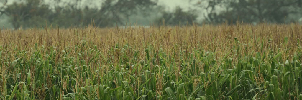 Veripath Farmland Partners is Pleased to Announce the Acquisition of 2,135 Acres of Farmland in Manitoba