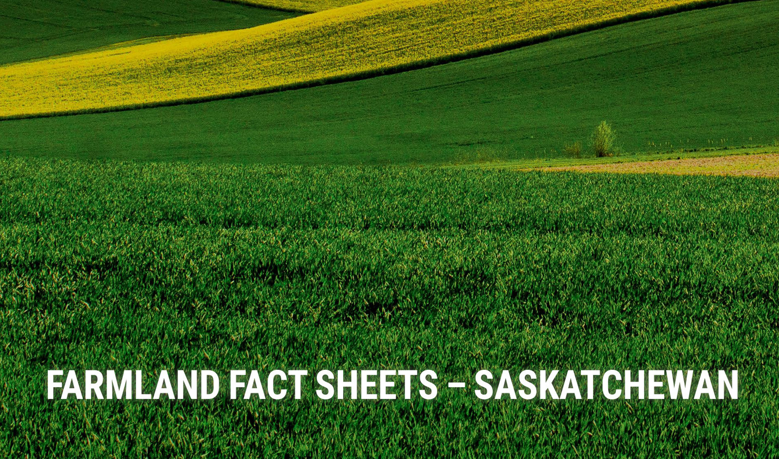 Provincial Farmland – Quick Fact Sheet – Saskatchewan