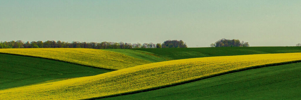 Veripath Farmland Fund Announces New Partners for its Soil Management Program