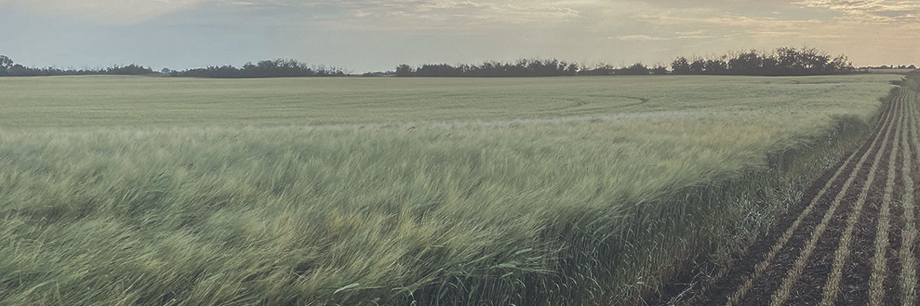 Veripath Partners team celebrates 15 years in farmland investing