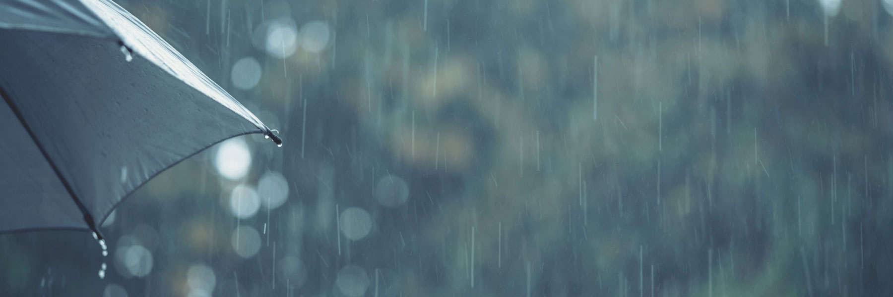 Jim Rogers “Invest in farmland” – Motley Fool