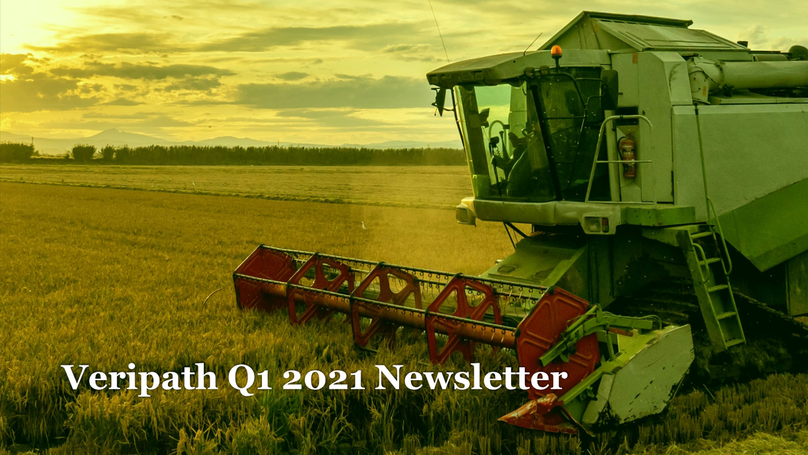 Veripath’s Q1 2021 Newsletter