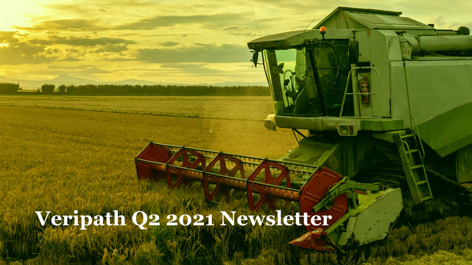 Veripath’s Q2 2021 Newsletter
