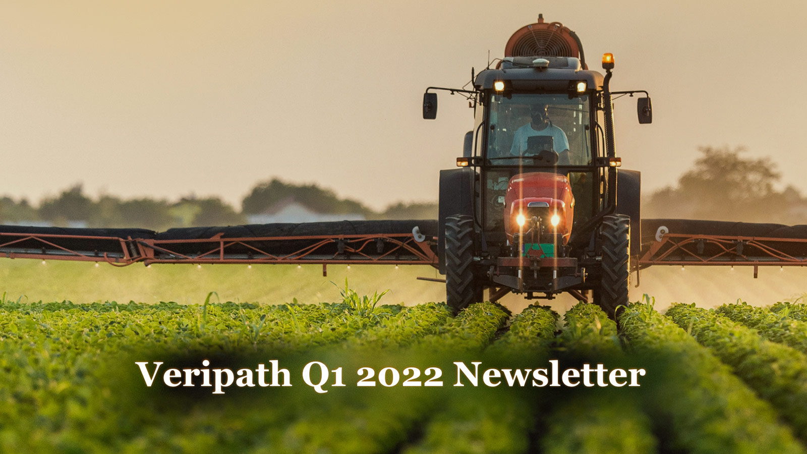 Veripath’s Q1 2022 Newsletter