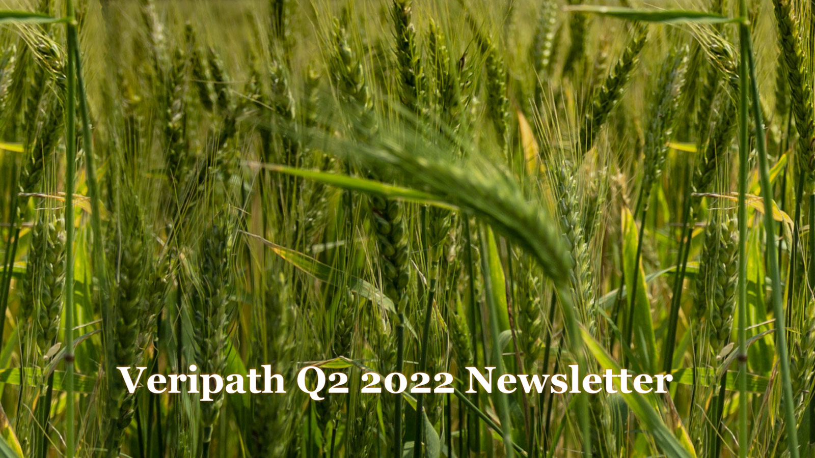Veripath Q2 22 Newsletter
