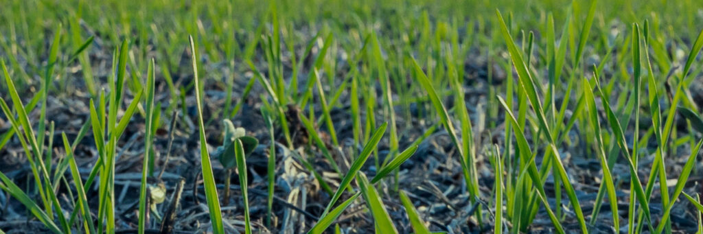 Veripath Co-Founder on BNN – Macroeconomics and Alternatives