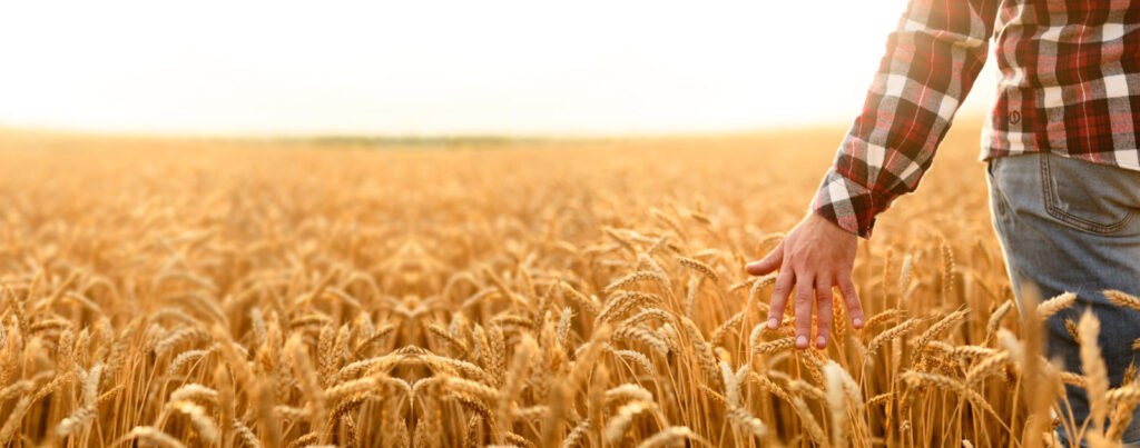 Veripath Launches New Private Placement for Accredited Investors