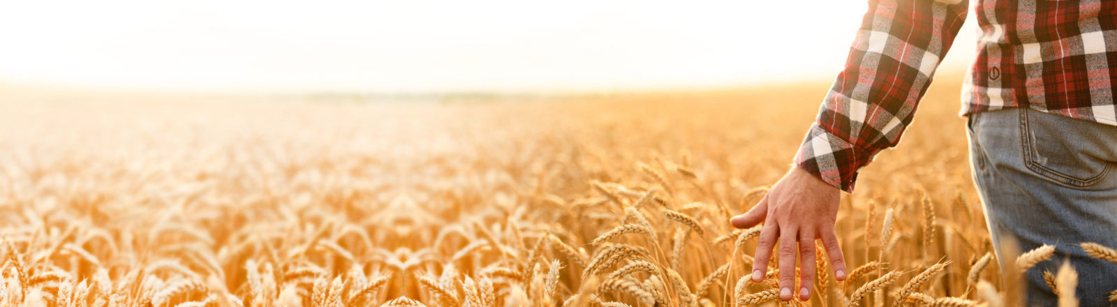 Veripath Launches New Private Placement for Accredited Investors