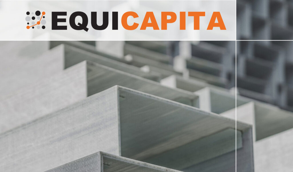 Equicapita 2020 Year in Review