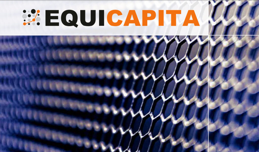Equicapita 2019 Year in Review