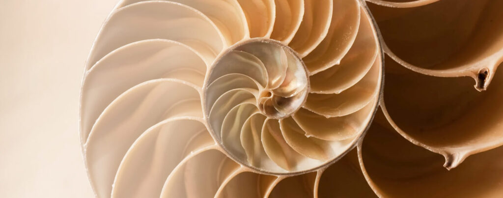 Veripath’s Q3 2022 Farmland Acquistion Recap