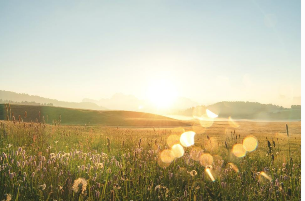 The Growth of Farmland Investing