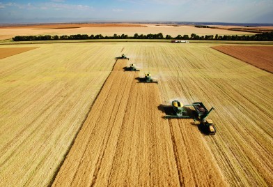Farmland as a Portfolio Enhancer
