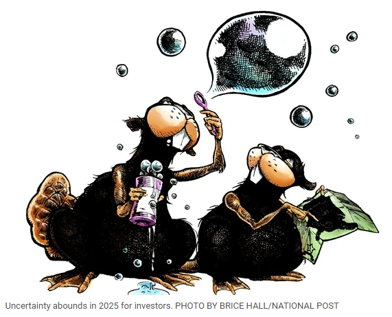 2025 investing outlook: Volatility is name of the game amid tariff and tech bubble threats